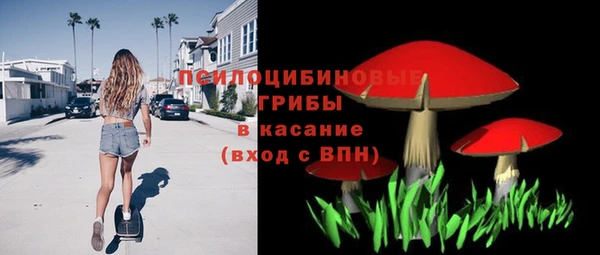 apvp Киреевск