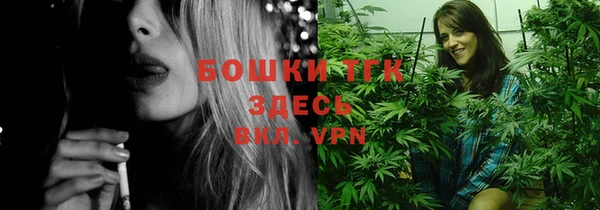 spice Кинешма